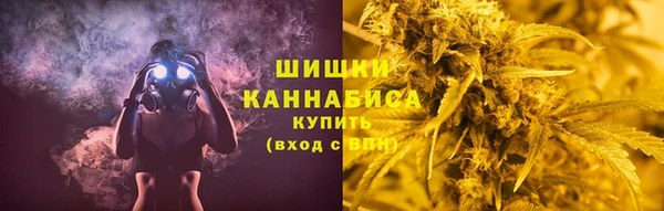 ПСИЛОЦИБИНОВЫЕ ГРИБЫ Вяземский