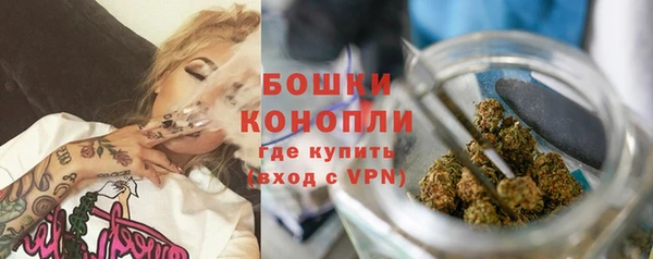 крисы Вязьма
