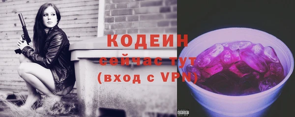 крисы Вязьма