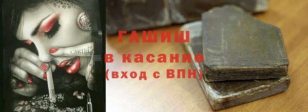 ПСИЛОЦИБИНОВЫЕ ГРИБЫ Вяземский