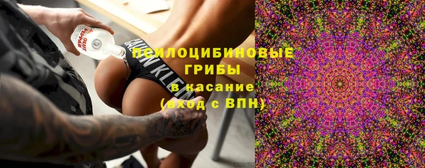 ПСИЛОЦИБИНОВЫЕ ГРИБЫ Вяземский
