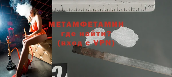 ПСИЛОЦИБИНОВЫЕ ГРИБЫ Вяземский