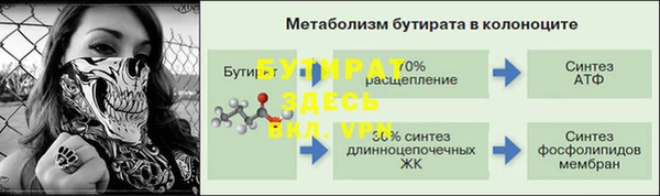 крисы Вязьма
