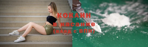 крисы Вязьма