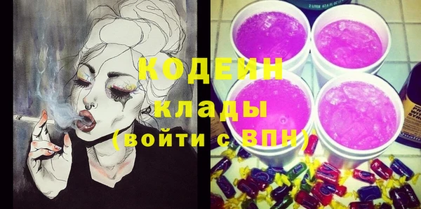 ПСИЛОЦИБИНОВЫЕ ГРИБЫ Вяземский