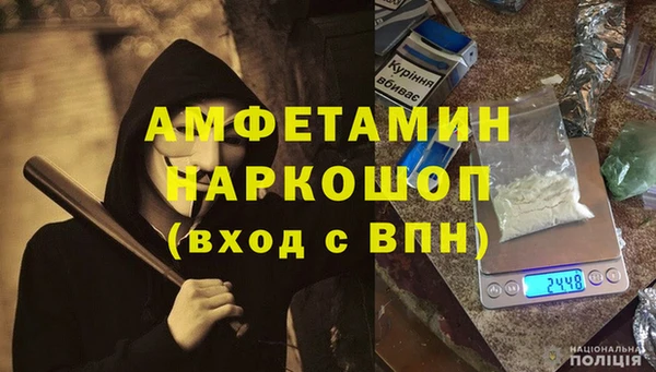 крисы Вязьма