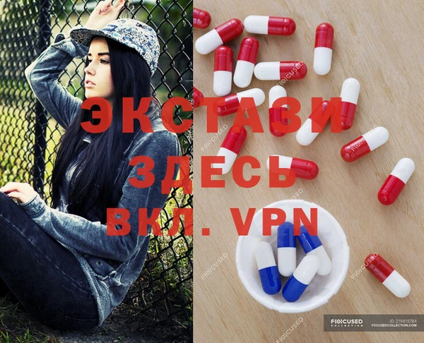 ПСИЛОЦИБИНОВЫЕ ГРИБЫ Вяземский