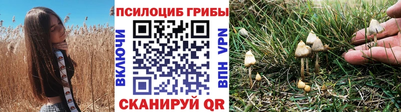 MEGA ССЫЛКА  Павловская  Галлюциногенные грибы прущие грибы 