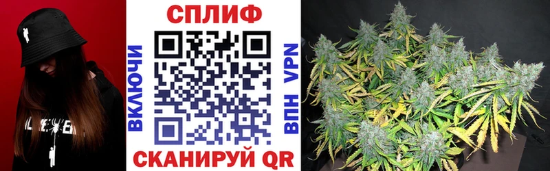купить наркотики сайты  Павловская  Марихуана планчик 